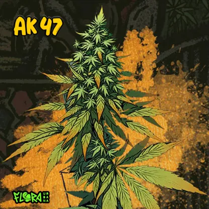 ak-47