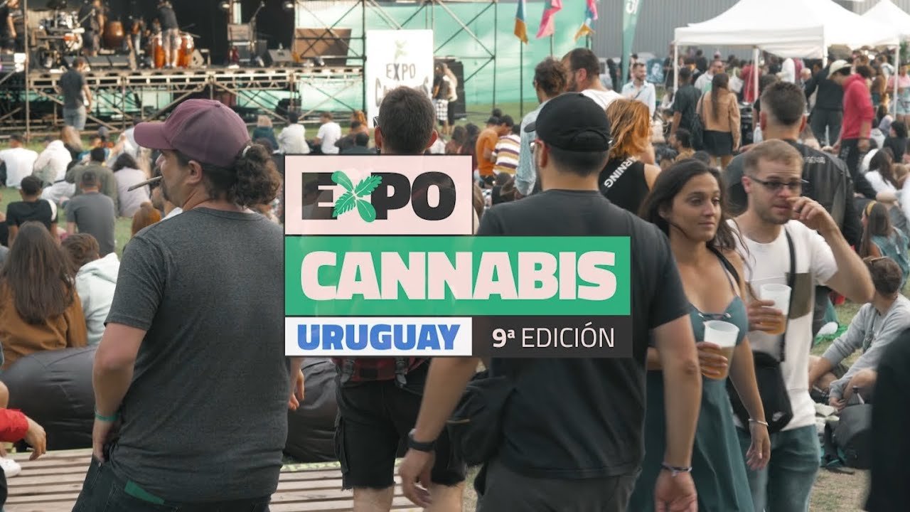 coberturas