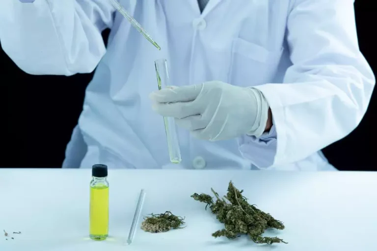 universidade ciencia cannabis
