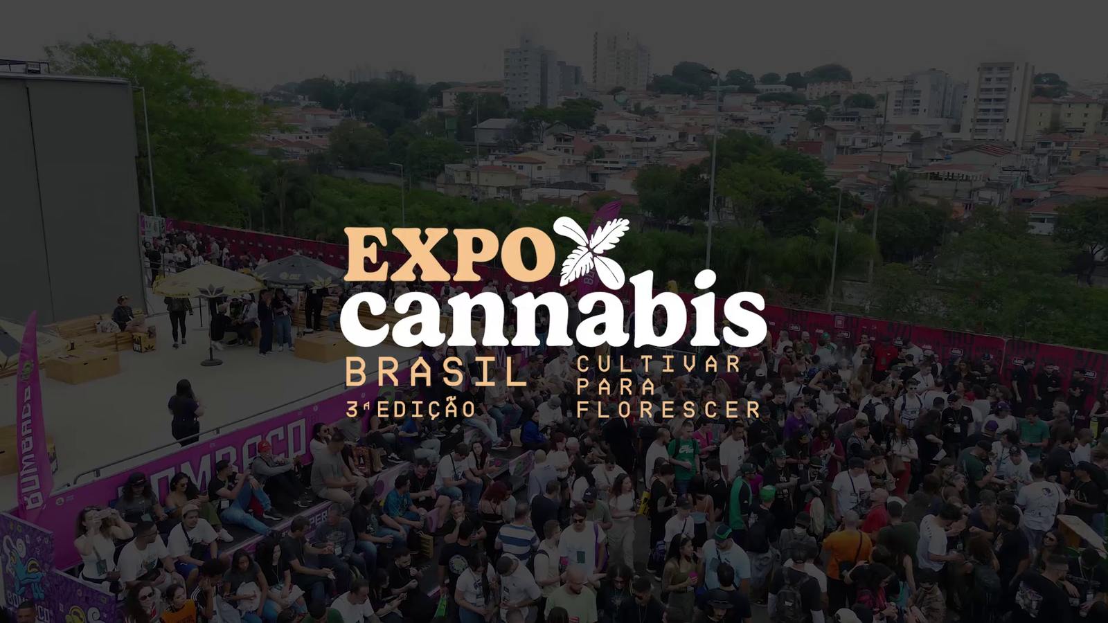 expo cannabis
