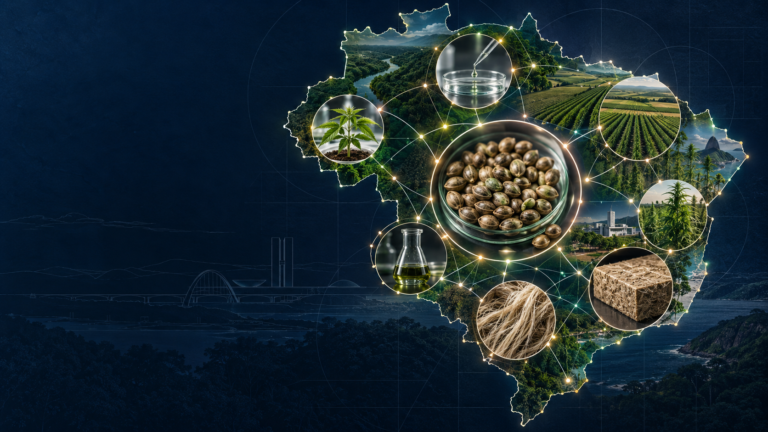 LEI DE DROGAS semente germoplasma