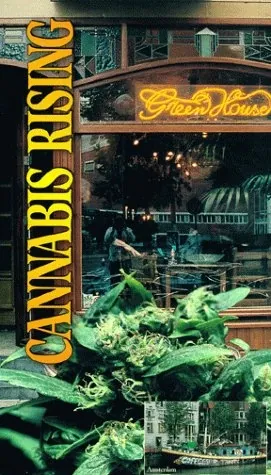 cannabis rising the key in the lock