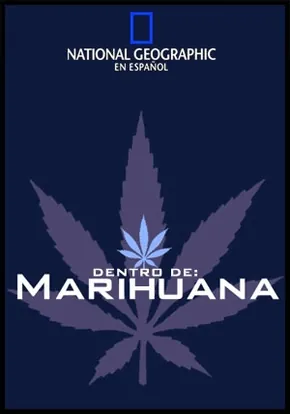 dentro de la marihuana