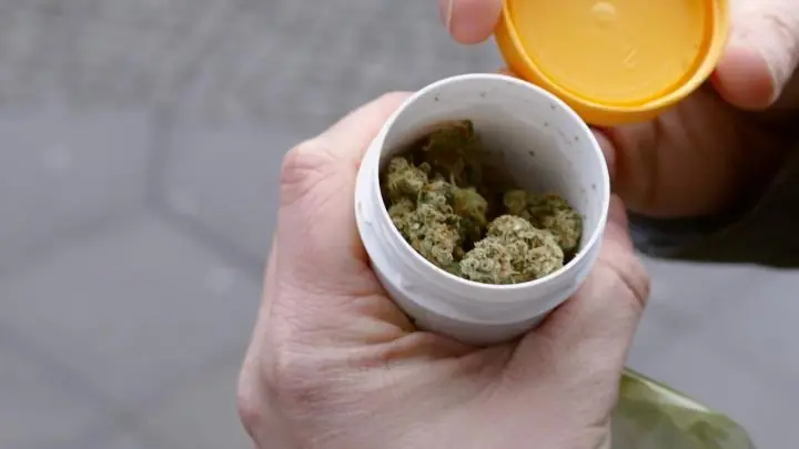 pot