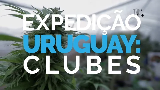 expedição uruguai: clubes