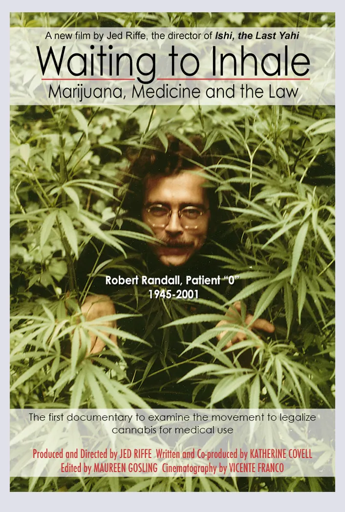 filme waiting to inhale