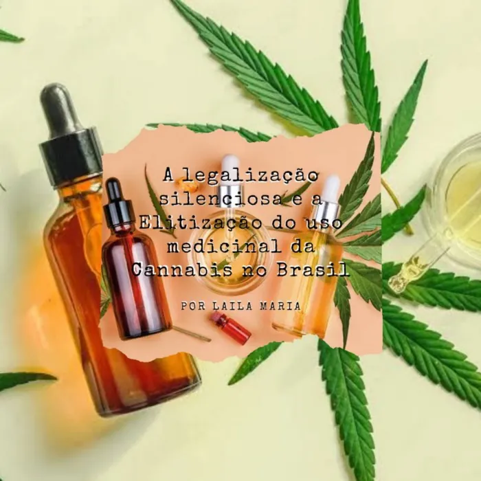 cannabis medicinal legalização e elitização