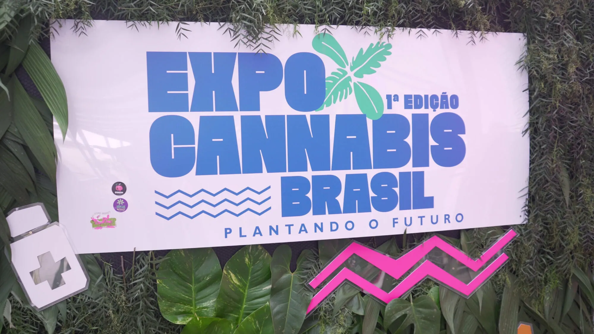 ExpoCannabis