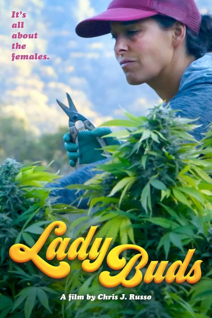 filmes documentários