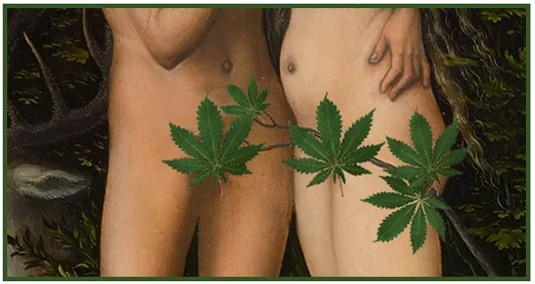 sexo e maconha