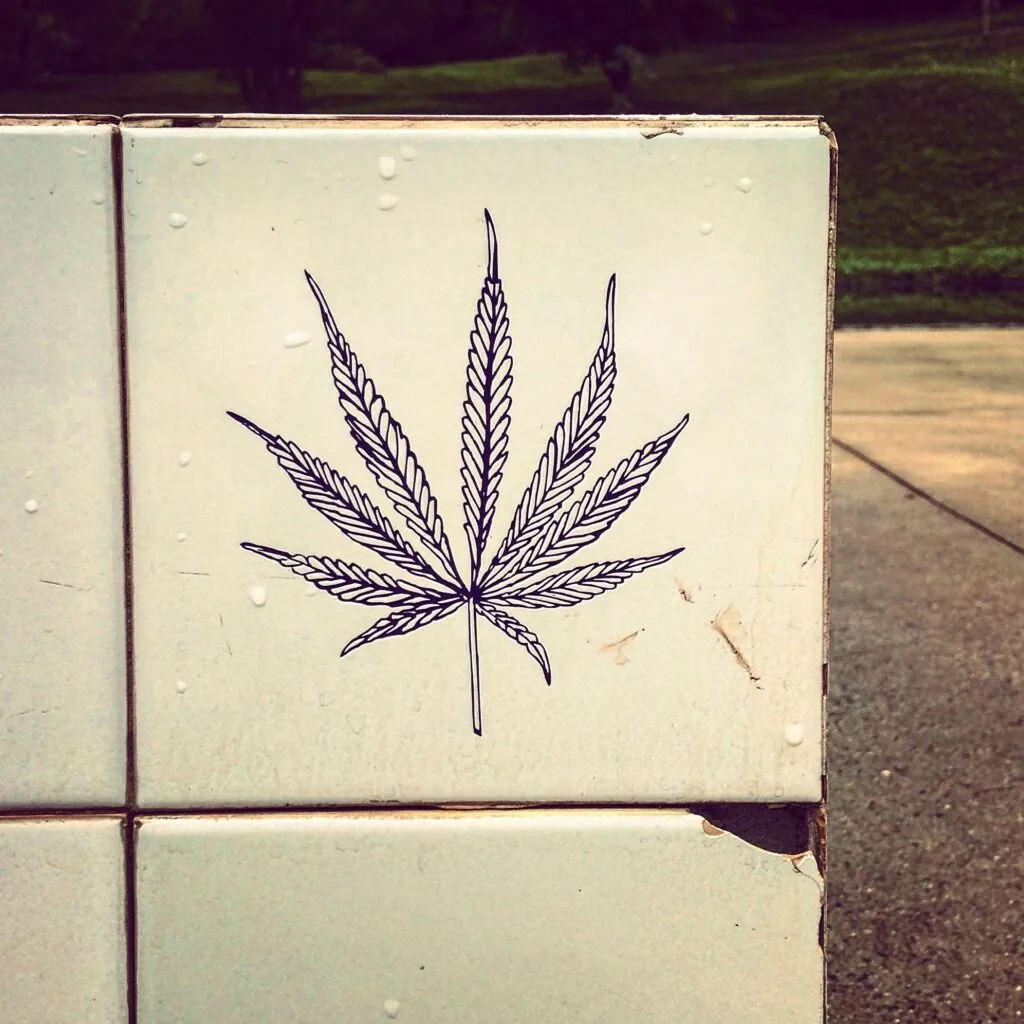 eleições e maconha