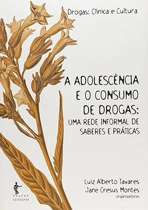 livro adolescencia e consumo de drogas