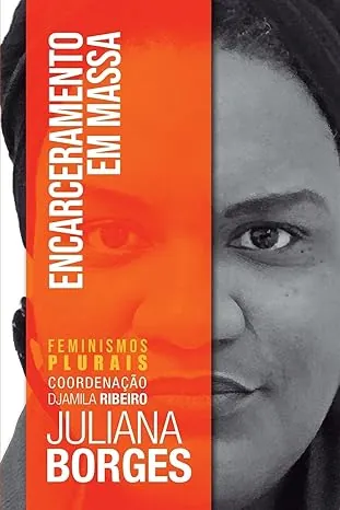 livro encarceramento em massa