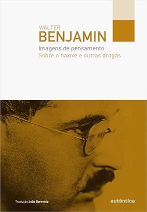 livro imagens do pensamento