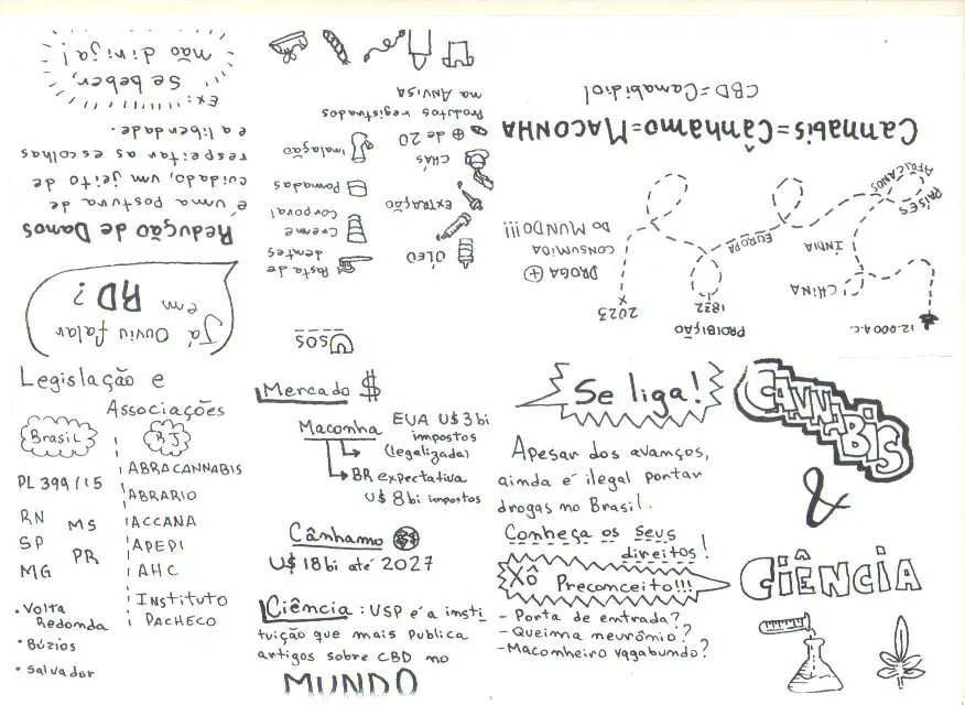 fanzine ciência canábica layla waltenberg