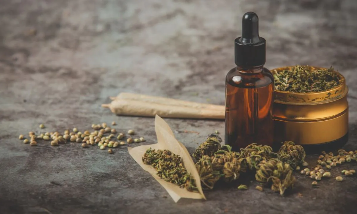 cannabis maconha preconceito deliberação