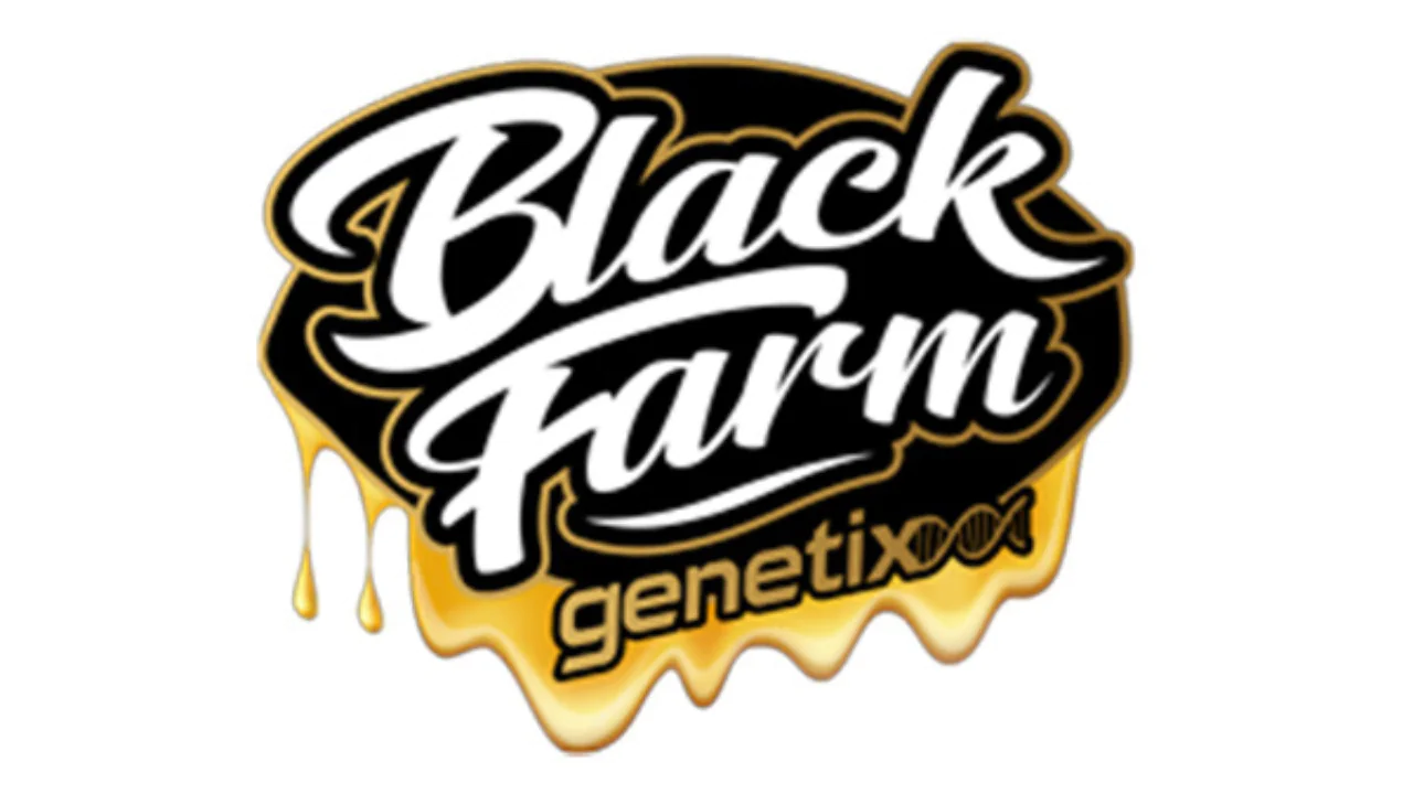 Ipanema Flora Urbana Black Farm Genetix