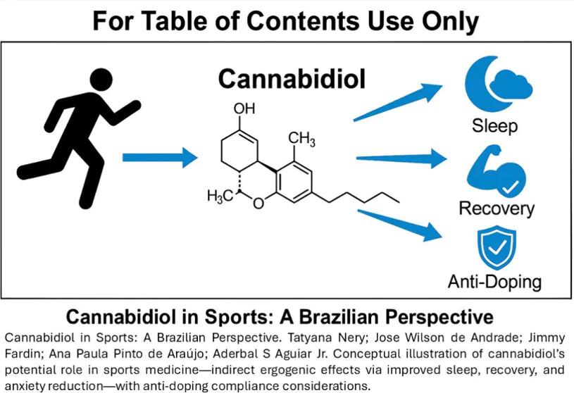 Artigo Cannabidiol in Sports: A Brazilian Perspective