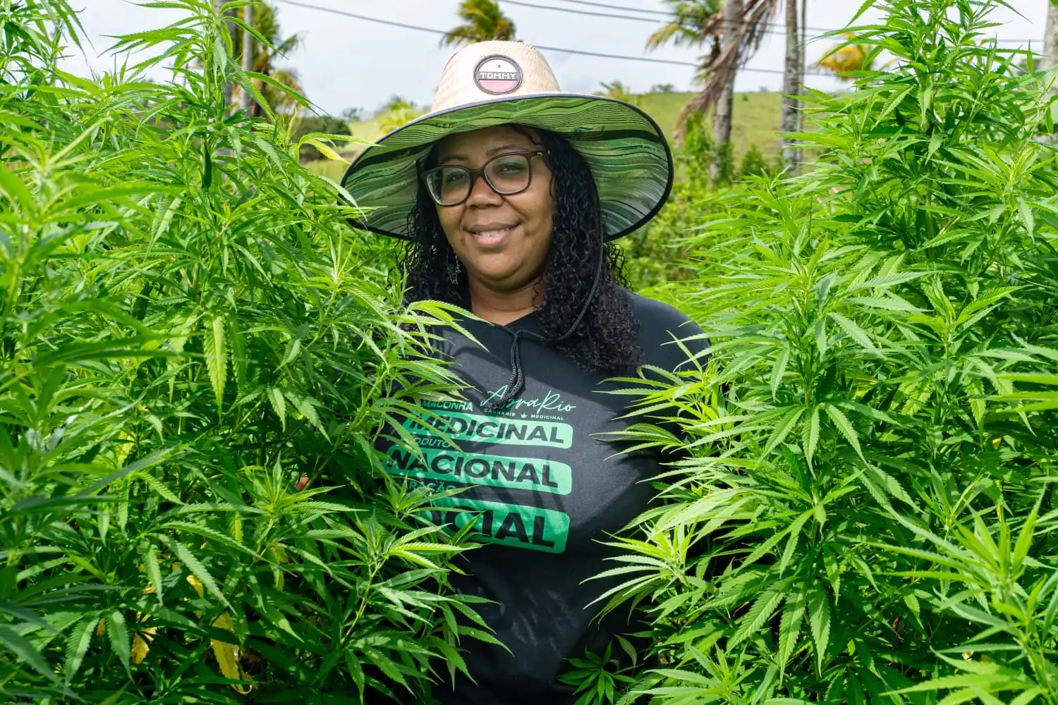 Marilene cannabis medicinal abrario