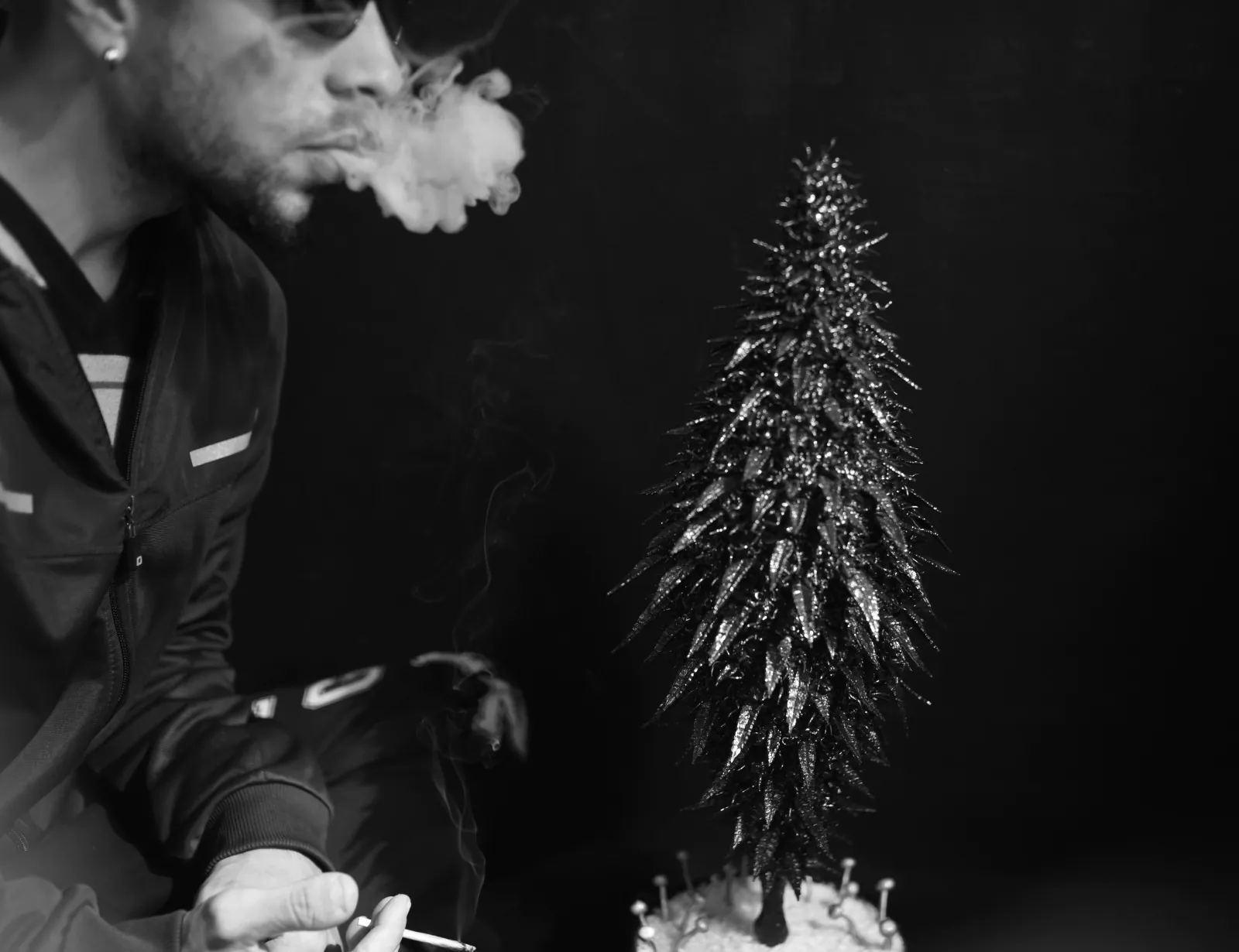 ganja 3d capa planta