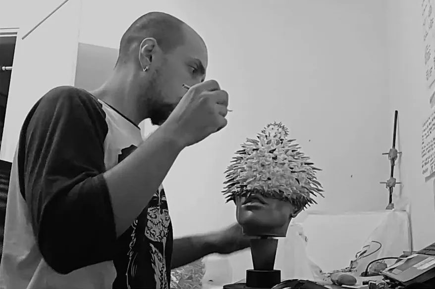 ganja 3d processo